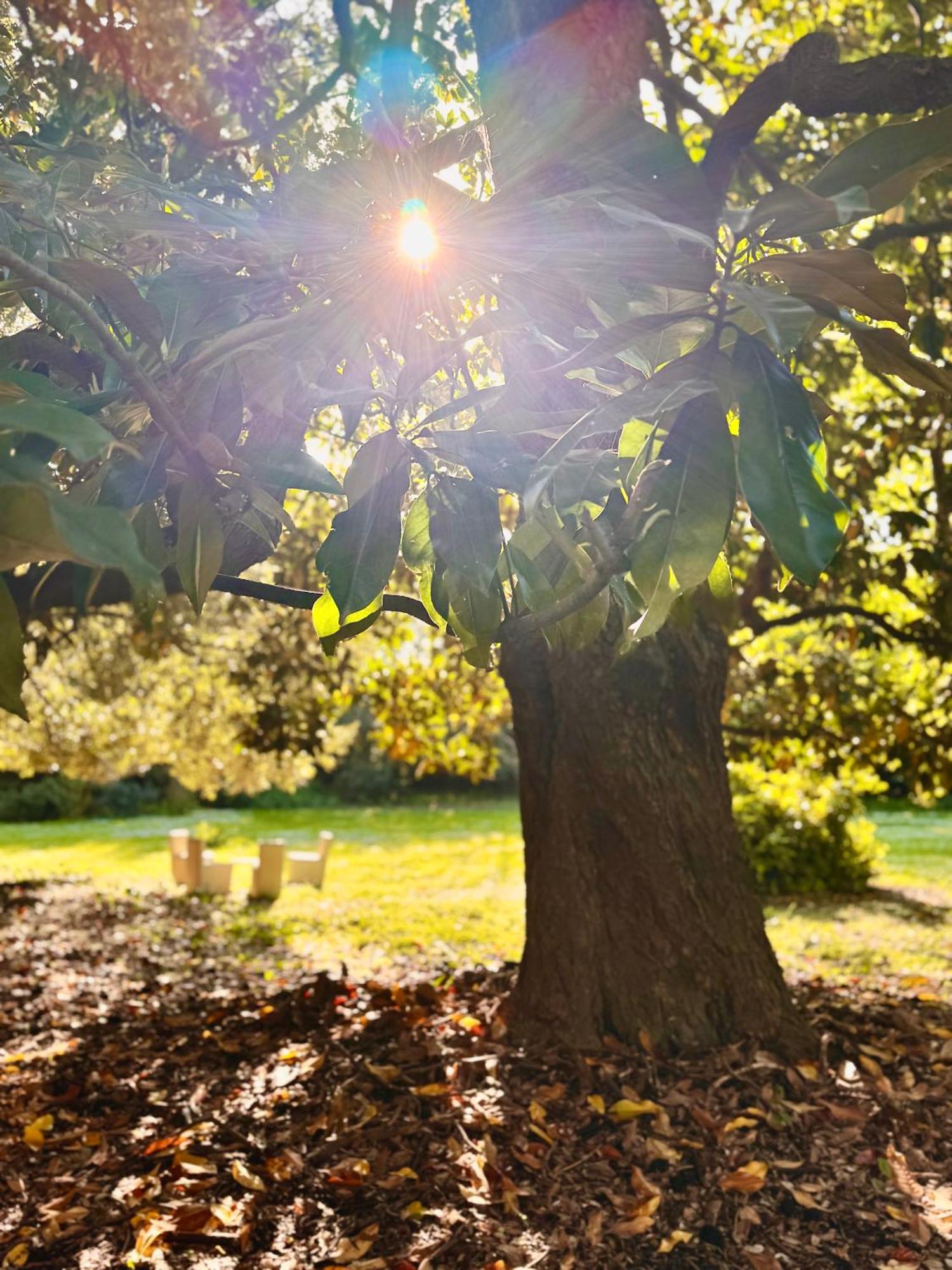 La Dogana Di Charme - Historic With A Beautiful Garden - Private Parking Bed & Breakfast Lucca