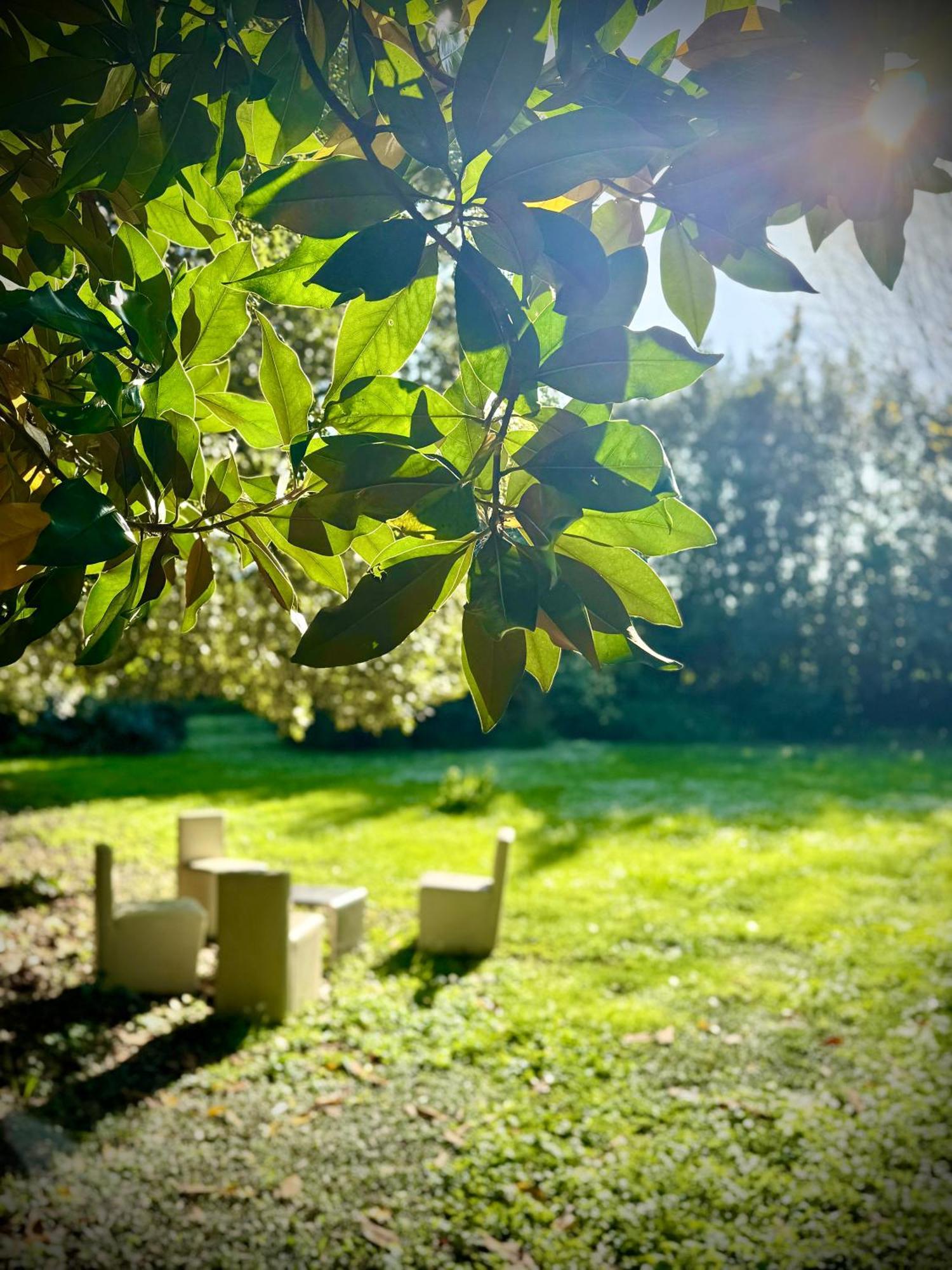 La Dogana Di Charme - Historic With A Beautiful Garden 2*