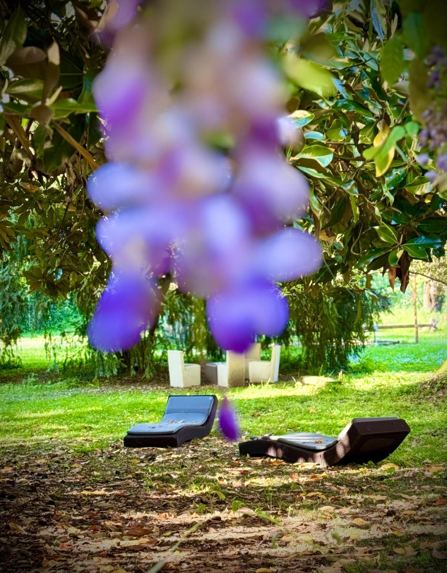 La Dogana Di Charme - Historic With A Beautiful Garden
