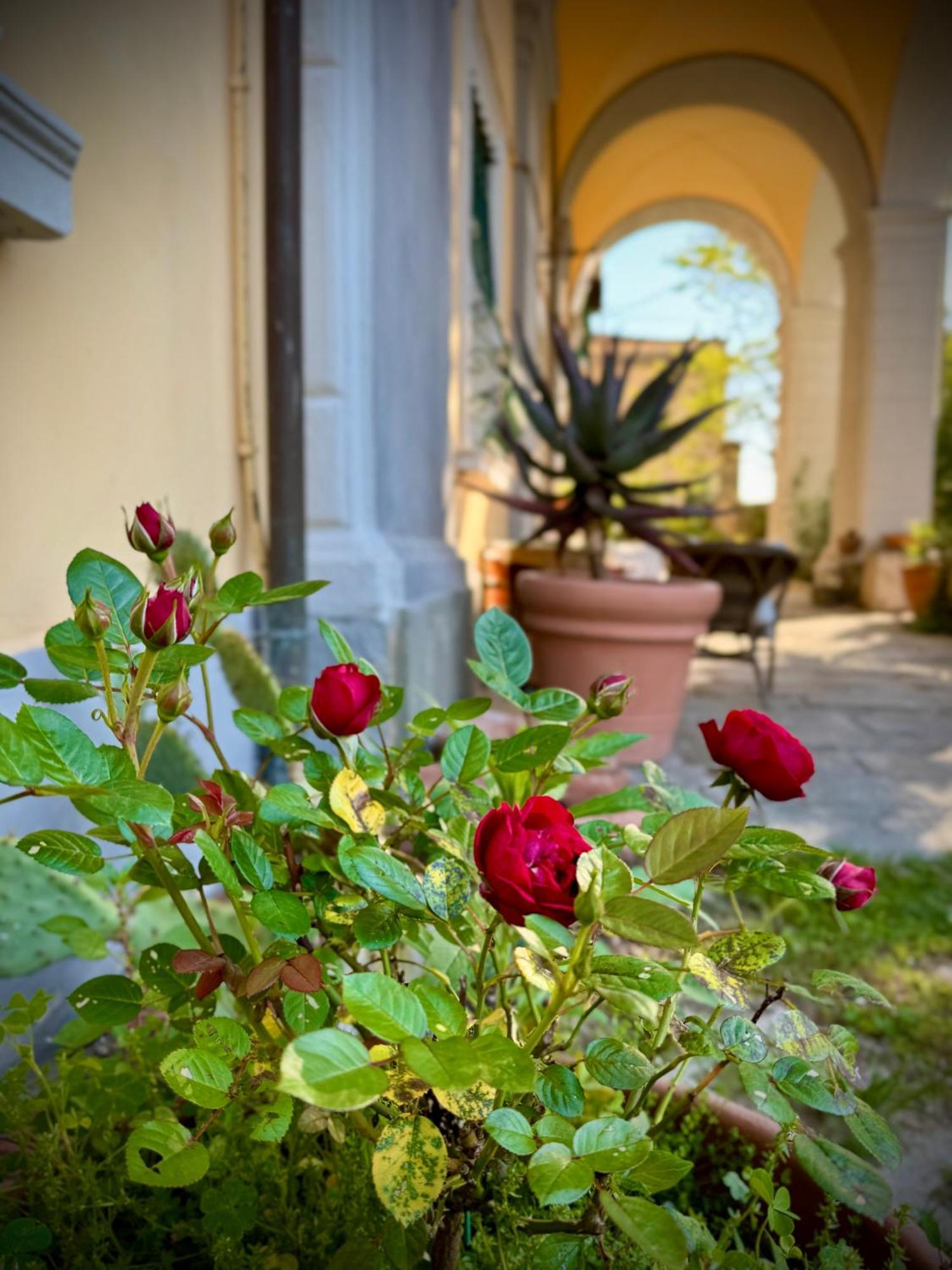 La Dogana Di Charme - Historic With A Beautiful Garden 2*