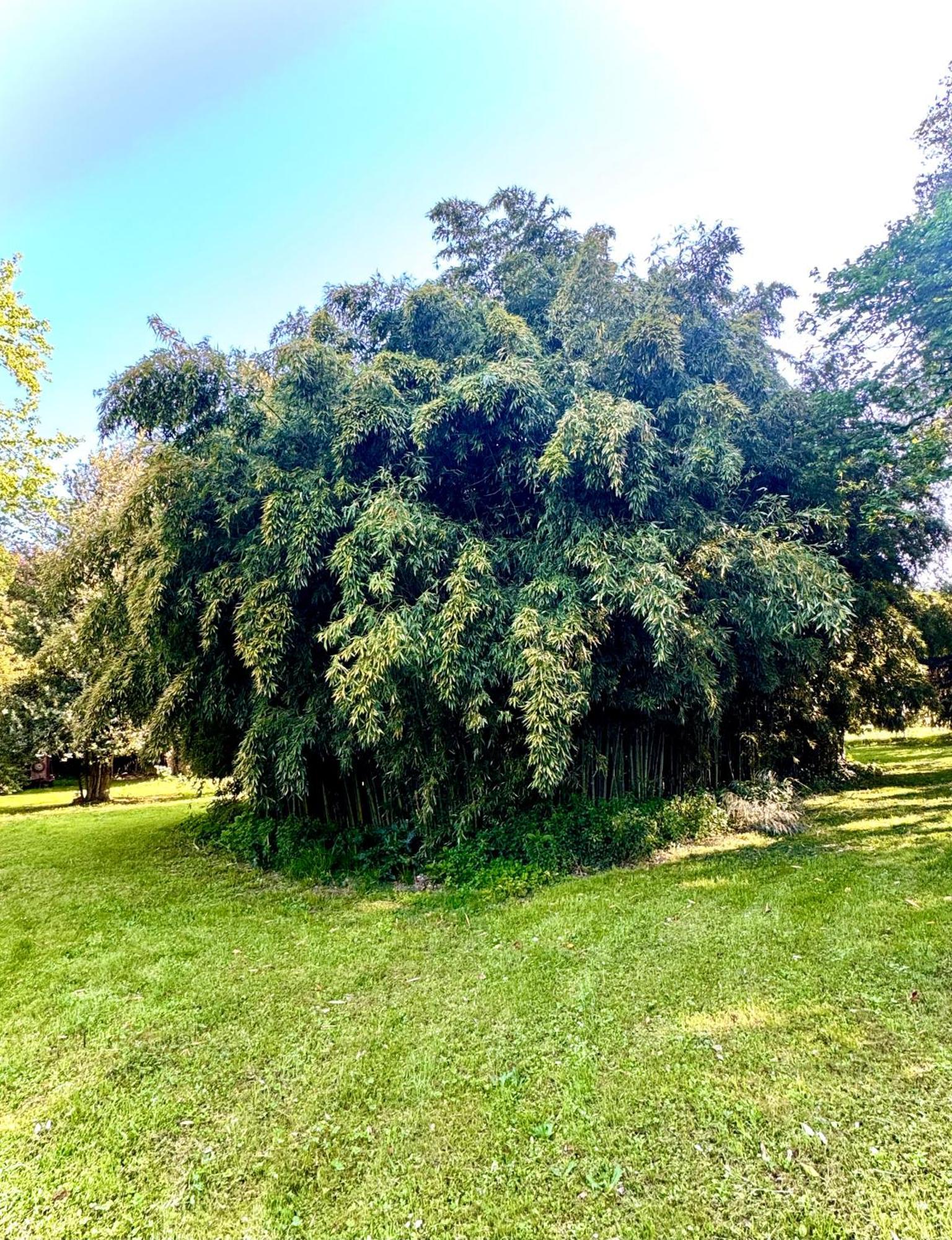 La Dogana Di Charme - Historic With A Beautiful Garden 2* Lucca