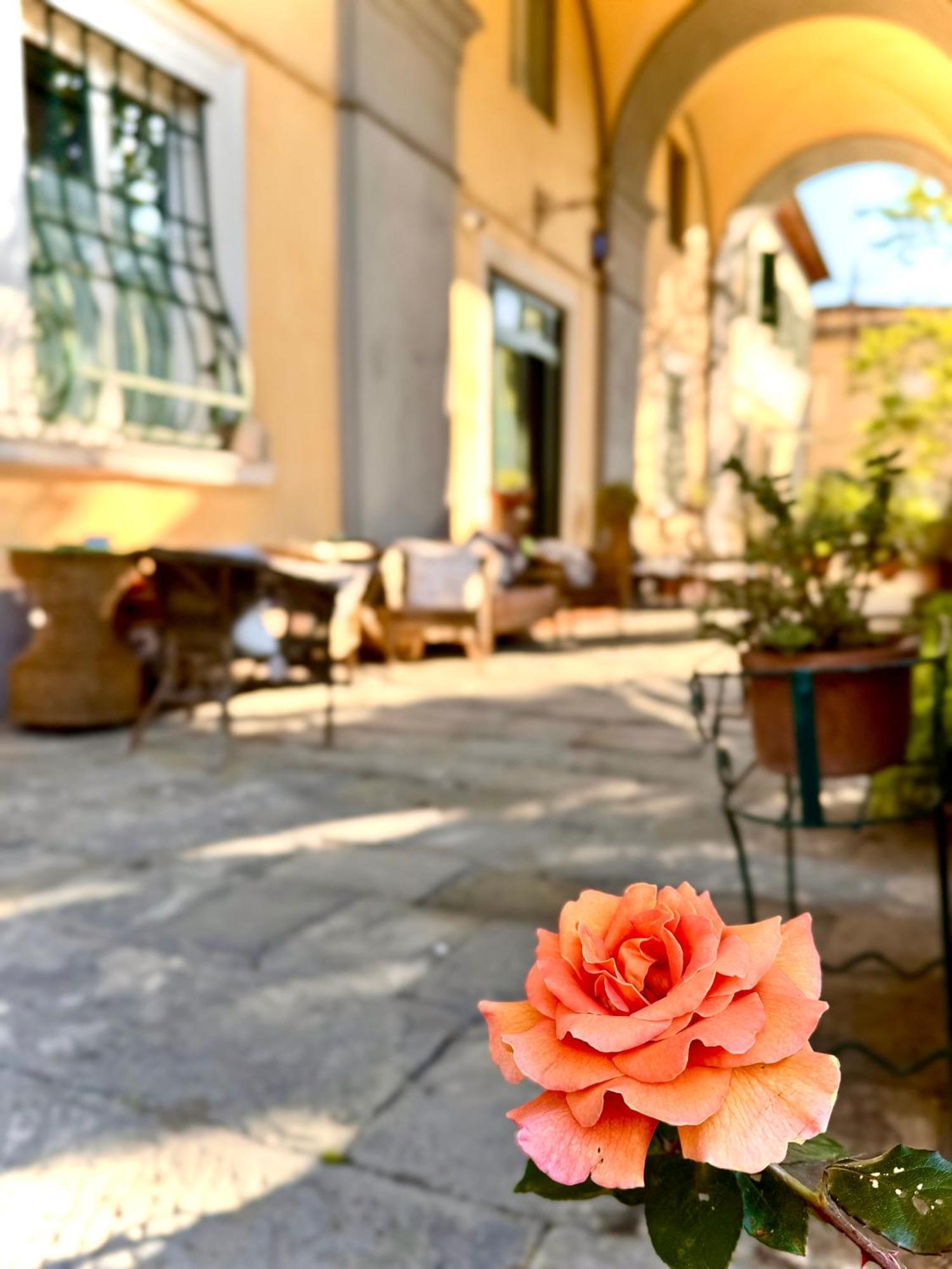 Frühstückspension La Dogana Di Charme - Historic With A Beautiful Garden