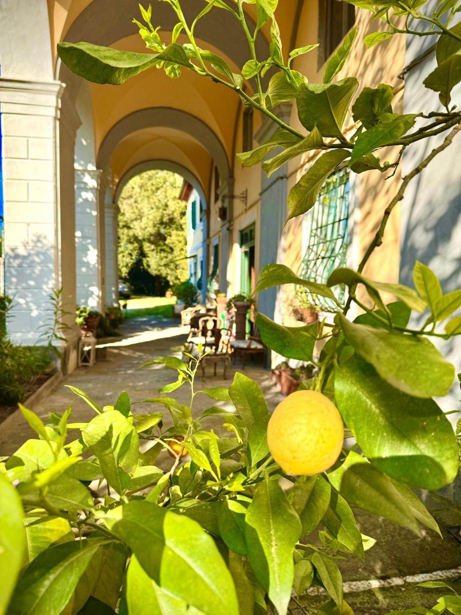 La Dogana Di Charme - Historic With A Beautiful Garden - Private Parking
