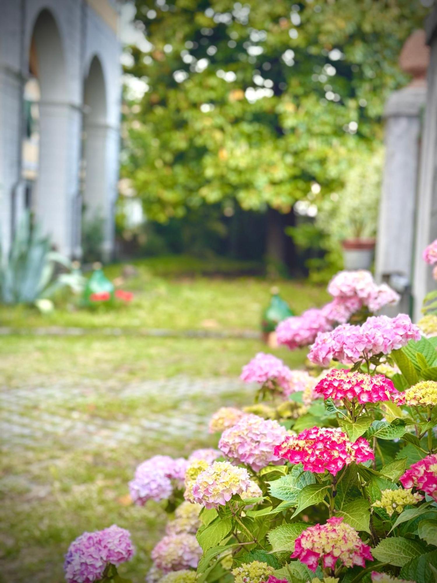 La Dogana Di Charme - Historic With A Beautiful Garden