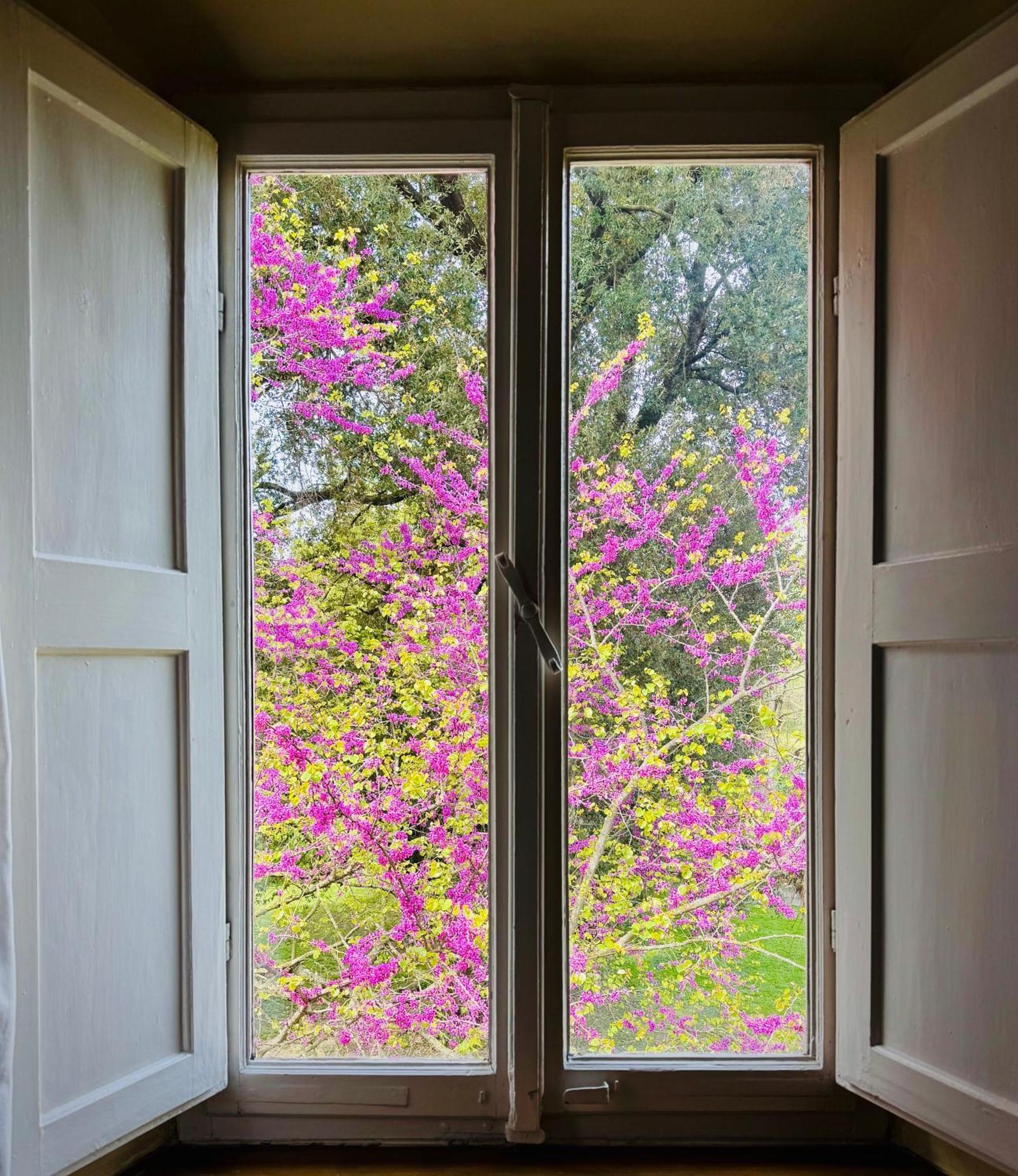 La Dogana Di Charme - Historic With A Beautiful Garden - Private Parking Bed & Breakfast 2*